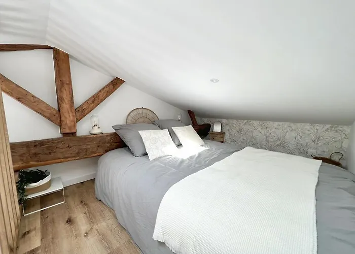 Le Cocon - Coeur De * La Rochelle (Charente-Maritime)